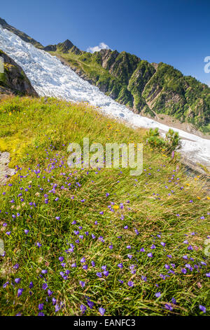 Glacier des Bossons è la più alta cascata di ghiaccio in Europa in montagna del massiccio del Monte Bianco picco, Chamonix, Haute-Savoie, Rhône-A Foto Stock