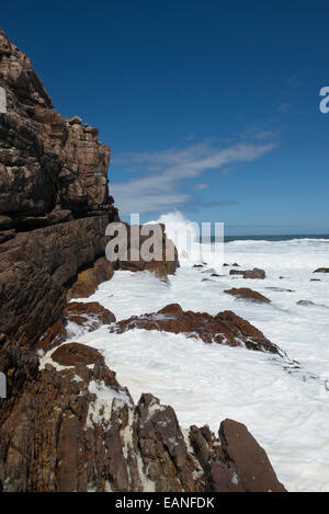 Costa rocciosa con onda di rottura che conduce al Capo di Buona Speranza, Western Cape, Sud Africa Foto Stock