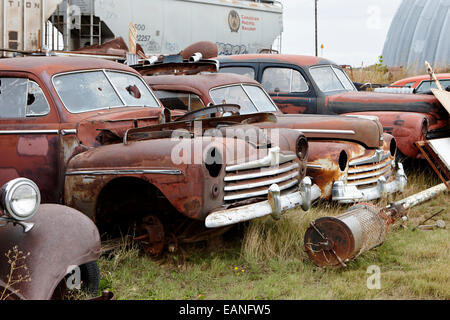 Vintage chevrolet storico e veicoli Ford junkyard in Saskatchewan in Canada Foto Stock