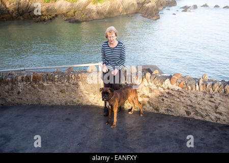 Titolare di pensione o di rendita camminare a piedi cane boxer sul percorso del mare Foto Stock