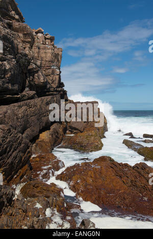 Costa rocciosa con onda di rottura che conduce al Capo di Buona Speranza, Western Cape, Sud Africa Foto Stock