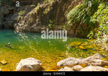 Rock Pool in Emma Gorge, El Questro, WA, Australia Foto Stock