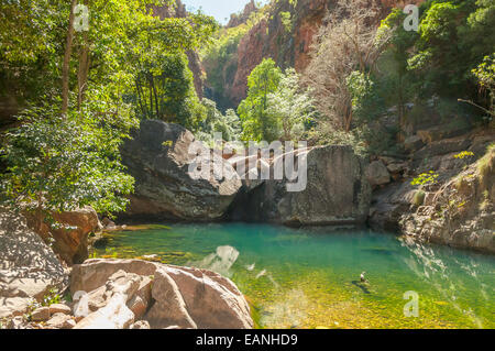 Rock Pool in Emma Gorge, El Questro, WA, Australia Foto Stock