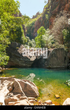 Rock Pool in Emma Gorge, El Questro, WA, Australia Foto Stock