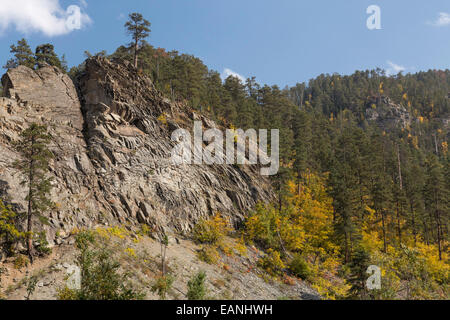 Spearfish Canyon, Black Hills National Forest, SD, STATI UNITI D'AMERICA Foto Stock