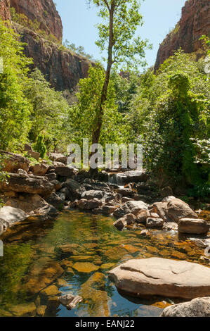 Rock Pool in Emma Gorge, El Questro, WA, Australia Foto Stock