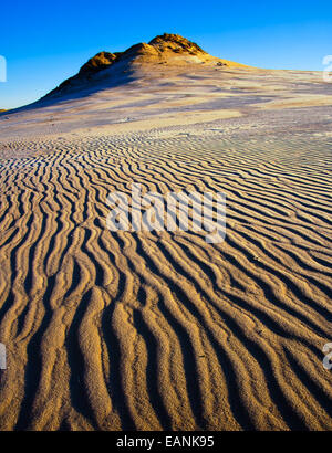 Le dune di sabbia nel Parco Nazionale di Slowinski in Polonia Foto Stock
