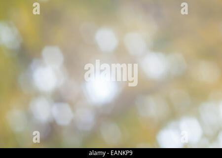 Abstract sfondo bokeh di fondo. Natura bokeh di fondo Foto Stock