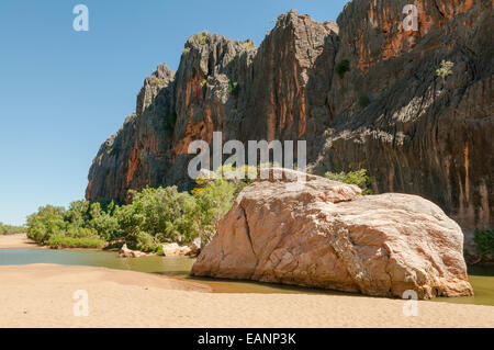 Windjana Gorge, il Kimberley, WA, Australia Foto Stock