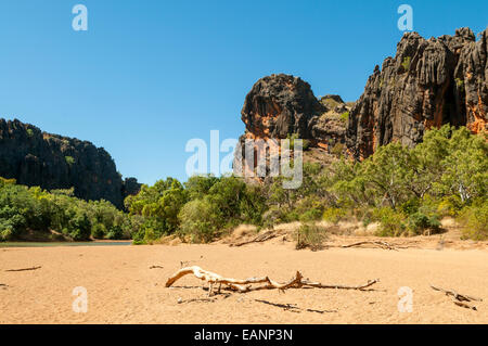 Windjana Gorge, il Kimberley, WA, Australia Foto Stock