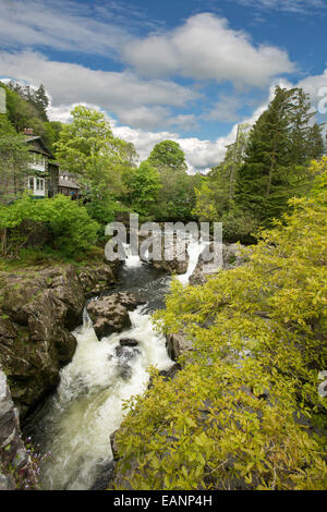 Acqua di fiume Llugwy tumbling over rocks & attraverso i boschi al villaggio di Betws-y-Coed nel Parco Nazionale di Snowdonia, Galles Foto Stock