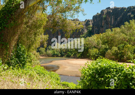 Windjana Gorge, il Kimberley, WA, Australia Foto Stock