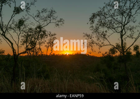 Tramonto al Sunset Hill, Mt Hart, il Kimberley, WA, Australia Foto Stock