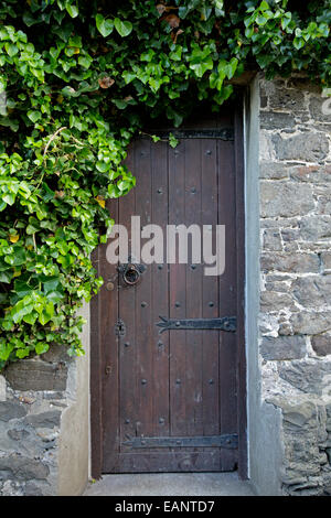 Marrone stretta porta di legno con grandi cerniere nero nel vecchio muro di pietra e circondata da fogliame color smeraldo nella cittadina gallese di Conwy Foto Stock