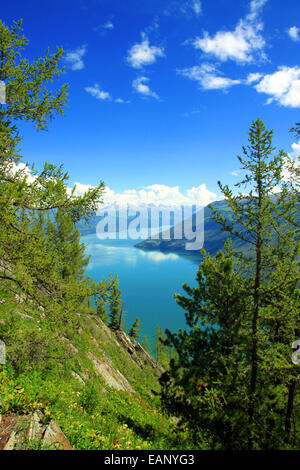 Estate scenario del Lago Kanas, provincia dello Xinjiang, Cina Foto Stock