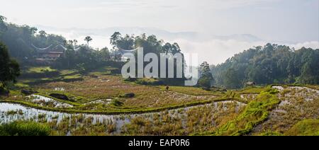 Villaggi tradizionali con barca tetti sagomato in uno splendido paesaggio di campi di riso sulle montagne di Batutumonga Tana Toraja, S Foto Stock