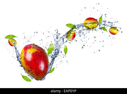 Mango in acqua splash, isolati su sfondo bianco Foto Stock