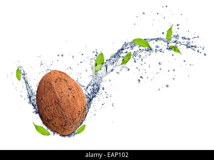 Noce di cocco in acqua splash, isolati su sfondo bianco Foto Stock