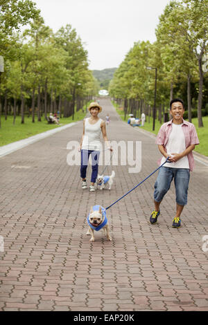 Giovane camminando due cani su un sentiero lastricato. Foto Stock