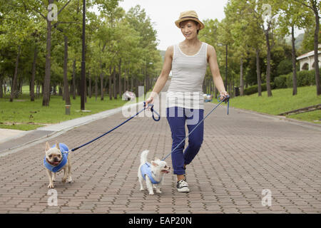 Donna camminando due cani su un sentiero lastricato. Foto Stock