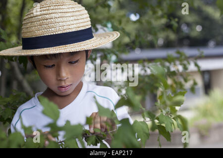 Ragazzo che indossa un cappello di paglia, guardando un ramo di albero. Foto Stock