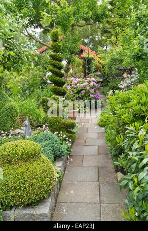 Rododendri (Rhododendron) e orientale arborvitae (Thuja occidentalis) con forma a spirale Foto Stock