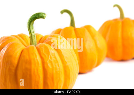 Arancio decorativo zucche, close-up shot con il fuoco selettivo Foto Stock