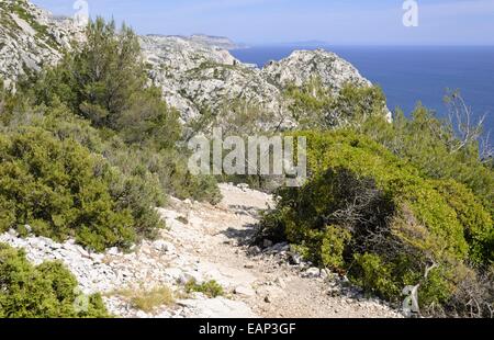 Sentiero escursionistico, calanques national park, Francia Foto Stock