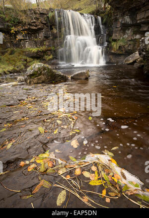 Oriente Gill vigore nei pressi di Keld, Swaledale superiore, Yorkshire Dales National Park Foto Stock