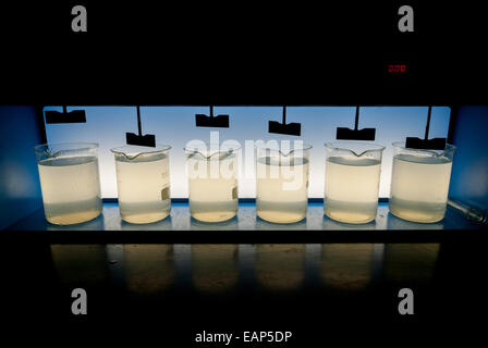 Sono stati esaminati campioni di acqua di sorgente presso il laboratorio di prova della qualità dell'acqua gestito da Aetra, uno dei fornitori di acqua di Giacarta, a East Jakarta, Indonesia. Foto Stock