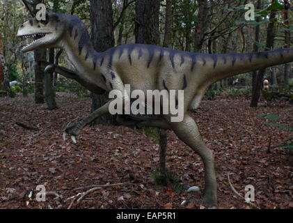 Deinonychus predatori (Cretaceo) dino realistiche statue Dinopark Zoo di Amersfoort, Paesi Bassi. Più di 4 immagini con Iguanadont Foto Stock