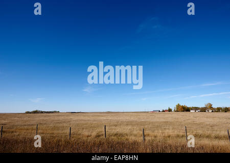 Prairie rurale di prati e campi coltivati in campi aperti bengough Saskatchewan Canada Foto Stock