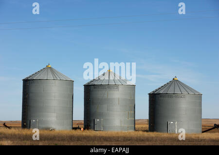 Commerciale di grano deposito bidoni in una fattoria del Saskatchewan, Canada Foto Stock