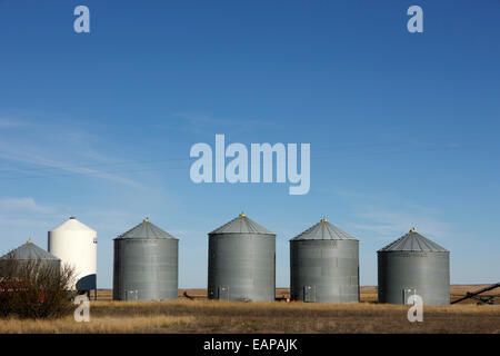 Commerciale di grano deposito bidoni e fertilizzante bin in una fattoria del Saskatchewan, Canada Foto Stock