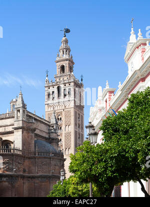 La Giralda torre della cattedrale costruita originariamente come un minareto moresco nel dodicesimo secolo, Siviglia, Spagna Foto Stock