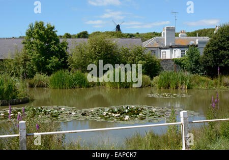 Laghetto a Rottingdean vicino a Brighton in East Sussex. In Inghilterra. Con il vecchio mulino a vento in background Foto Stock