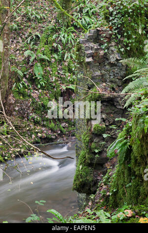 Abbandonati Fussell Old Iron Works, Mells, Somerset, Inghilterra, Regno Unito Foto Stock