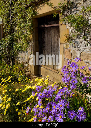 Dettaglio della porta di legno circondato da piante rampicanti nel giardino di Haddon Hall vicino a Bakewell Derbyshire Peak District Inghilterra Foto Stock