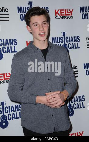 New York, NY, STATI UNITI D'AMERICA. Xviii Nov, 2014. Shawn Mendes presso gli arrivi per musicisti su chiamata quindicesimo anniversario, Espace, New York, NY Novembre 18, 2014. Credito: Kristin Callahan/Everett raccolta/Alamy Live News Foto Stock