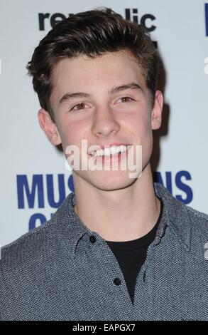 New York, NY, STATI UNITI D'AMERICA. Xviii Nov, 2014. Shawn Mendes presso gli arrivi per musicisti su chiamata quindicesimo anniversario, Espace, New York, NY Novembre 18, 2014. Credito: Kristin Callahan/Everett raccolta/Alamy Live News Foto Stock