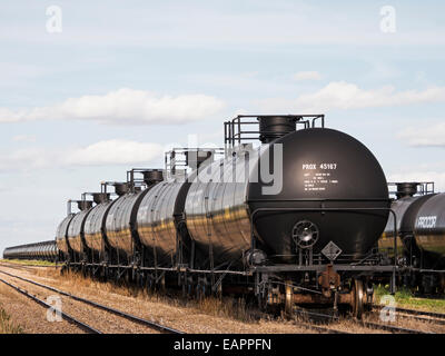 Cisterna ferroviario auto, utilizzati per il trasporto di liquidi e gassosi di commodities compresi petrolio greggio Saunavon in Saskatchewan in Canada Foto Stock