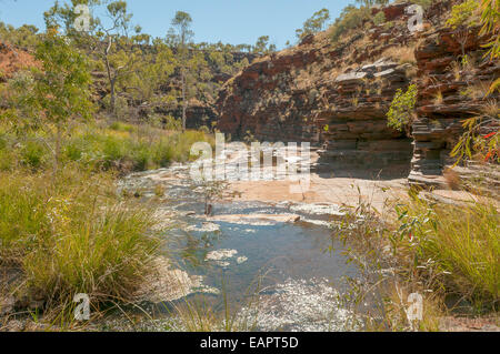 Kalamina Gorge, Karijini NP, WA, Australia Foto Stock