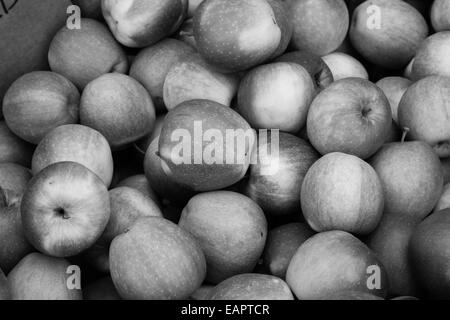Primo piano le mele in bianco e nero Foto Stock