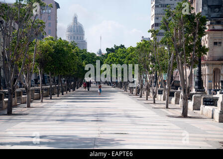 Paseo del Prado è una passeggiata pedonale che divide il centro del Paseo Marti di una delle strade principali nel centro di Avana. Foto Stock