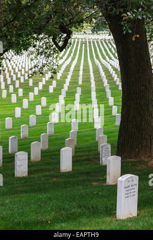 Al Cimitero Nazionale di Arlington, Virginia, Stati Uniti d'America Foto Stock