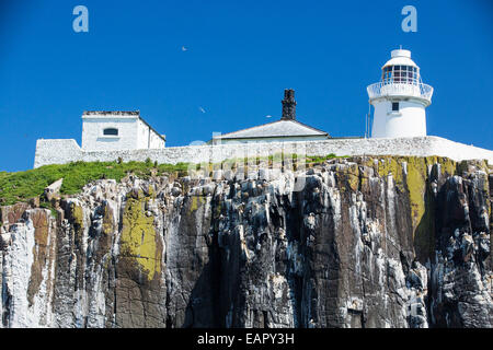 Un faro sul farne isole, Northumberlan, UK,, di nidificazione di uccelli marini sulle scogliere. Foto Stock