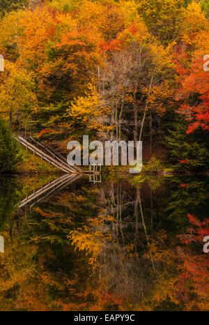 Autunno colorato Maple alberi astratto specchio riflessione fusione colori modello in lago e una scala in Vermont, autunno New England foglie autunno incantato Foto Stock