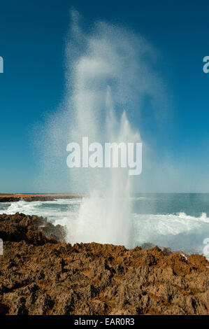 Blowhole vicino a Carnarvon, Coral Coast, WA, Australia Foto Stock