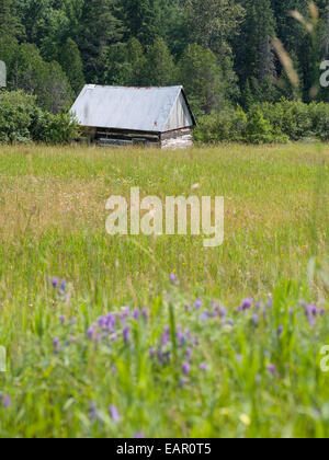 Isolato Log Cabin in un campo erboso. Tommy's Cabin in corrispondenza del bordo del bosco Barnes Lago, Thorne Township, Quebec, Canada Foto Stock
