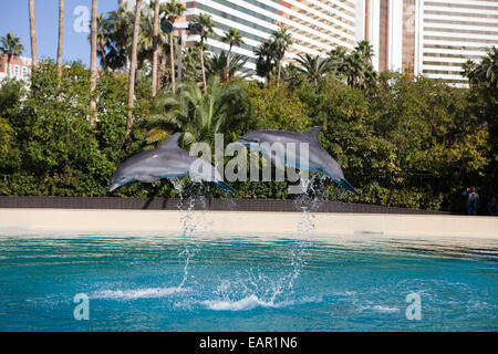 Siegfried e Roy's Secret Garden e Dolphin Habitat‎ al Mirage Hotel di Las Vegas, Nevada, STATI UNITI D'AMERICA Foto Stock